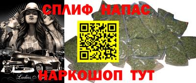 дживик Ачхой-Мартан