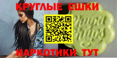 гашик Аргун