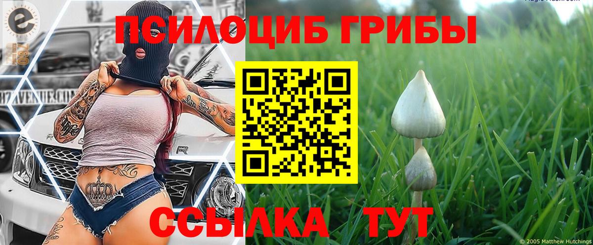 Псилоцибиновые грибы GOLDEN TEACHER Заречный