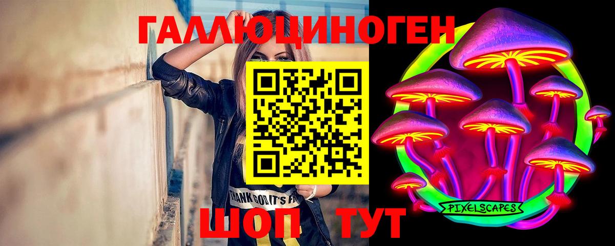 Заречный  Галлюциногенные грибы Cubensis  Вход с VPN 